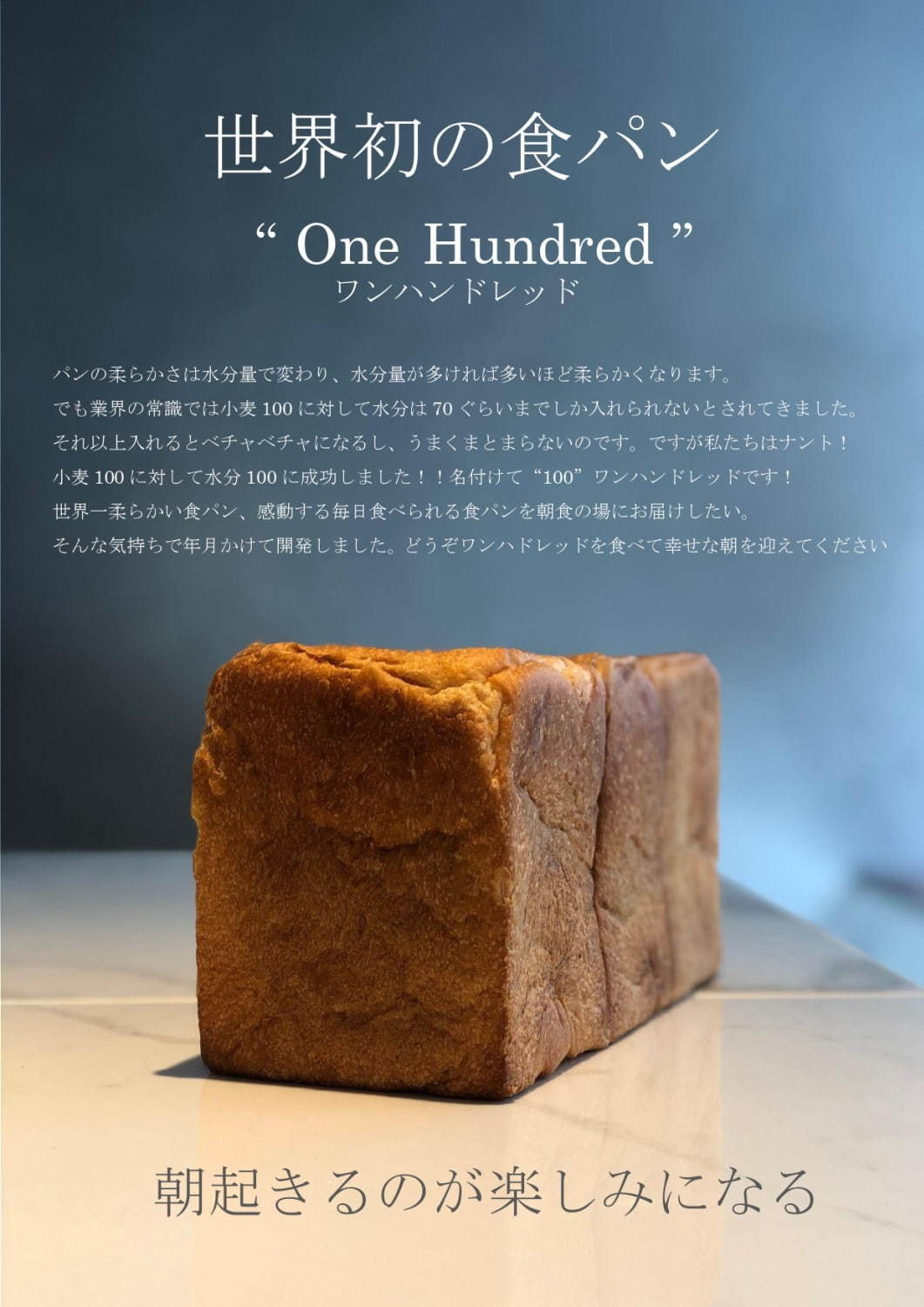 One Hundred Mickeys - ワンハンドレッドミッキーズ×100個+betonsst24.ru