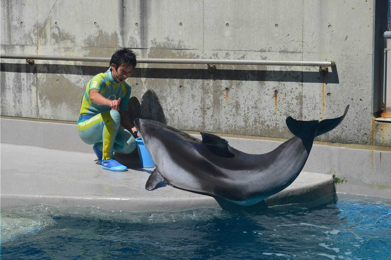 新江ノ島水族館「えのすいワンダーアクアリウム 2019」彩りの秋＆ハロウィンを海の生き物×光で表現｜写真18