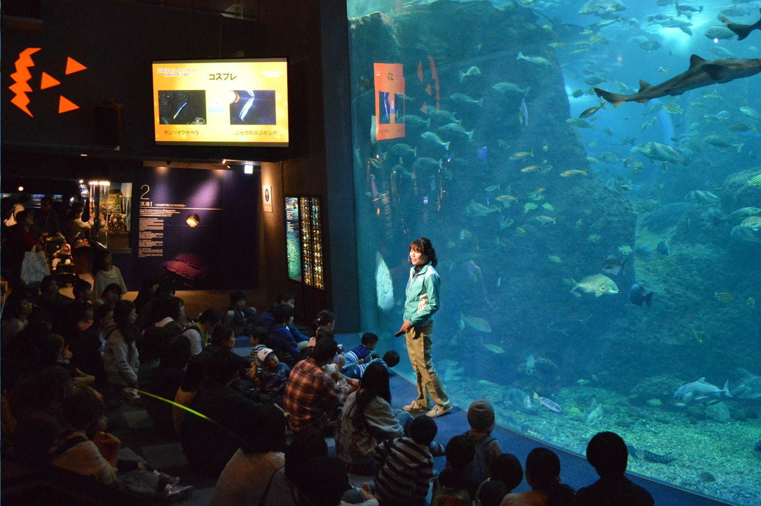 新江ノ島水族館「えのすいワンダーアクアリウム 2019」彩りの秋＆ハロウィンを海の生き物×光で表現｜写真20