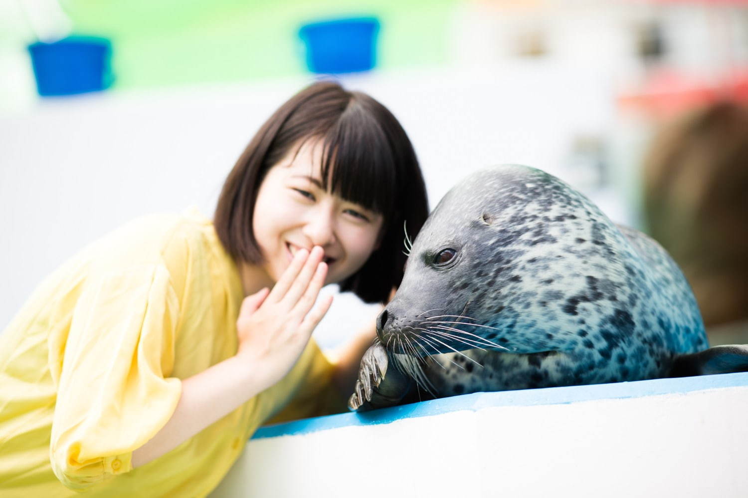 伊勢シーパラダイス“距離感ゼロ”のふれあい夏イベント、アザラシのひざ枕＆抱きつき体験｜写真14