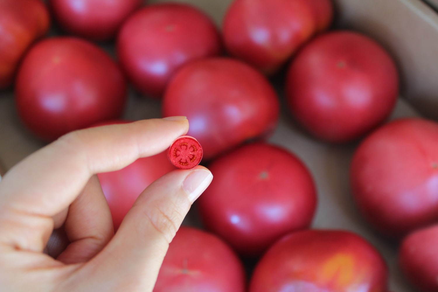 パパブブレ(PAPABUBBLE) 塩トマト｜写真3