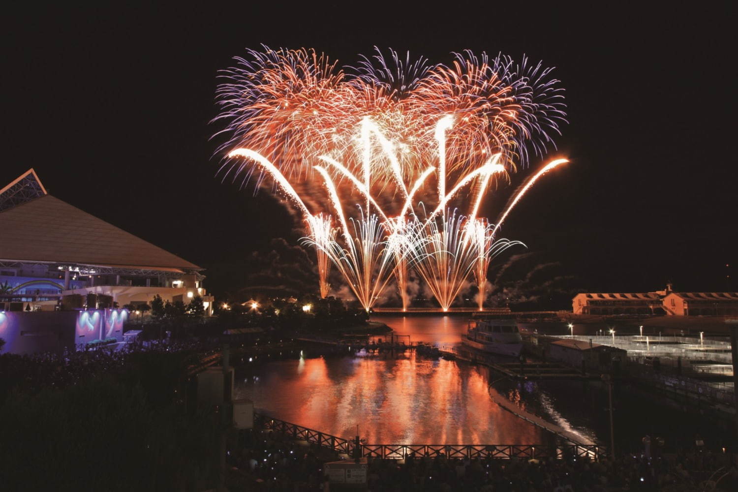 横浜・八景島シーパラダイスの秋イベント、ペンギンによるハロウィンパレード＆季節限定イルカショーも｜写真7