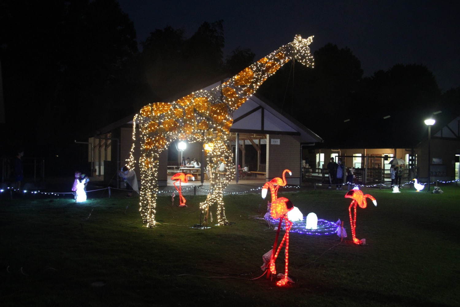 夜の動物園 静岡市立日本平動物園で レッサーパンダ などの夜の姿を観察 イルミネーションも ファッションプレス