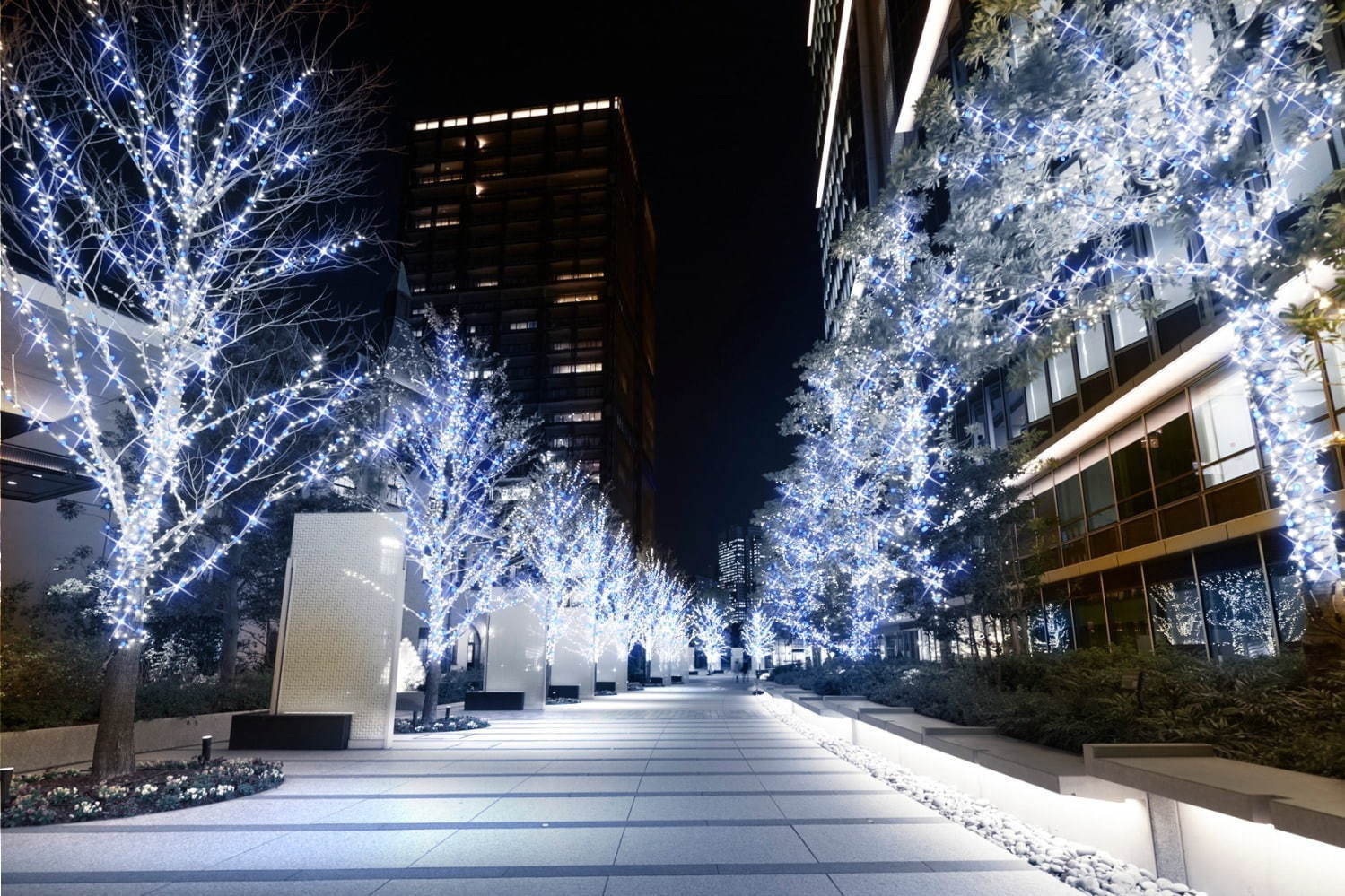 写真12 22 イルミネーション19 関東版 東京 神奈川 千葉ほか クリスマスを彩る幻想スポット ファッションプレス