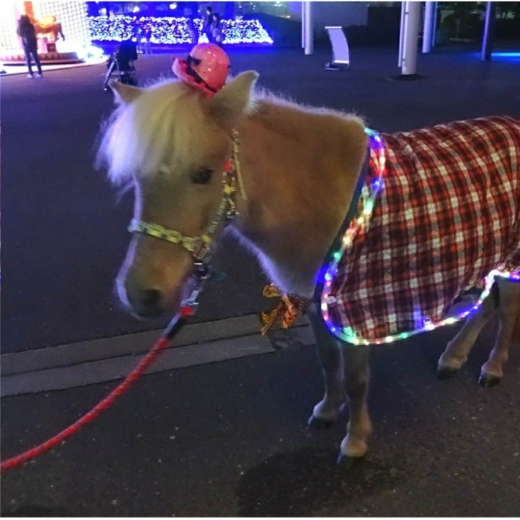 大井競馬場「トウキョウ メガ イルミネーション 2019-2020」オーロラの森や虹色の噴水など｜写真4