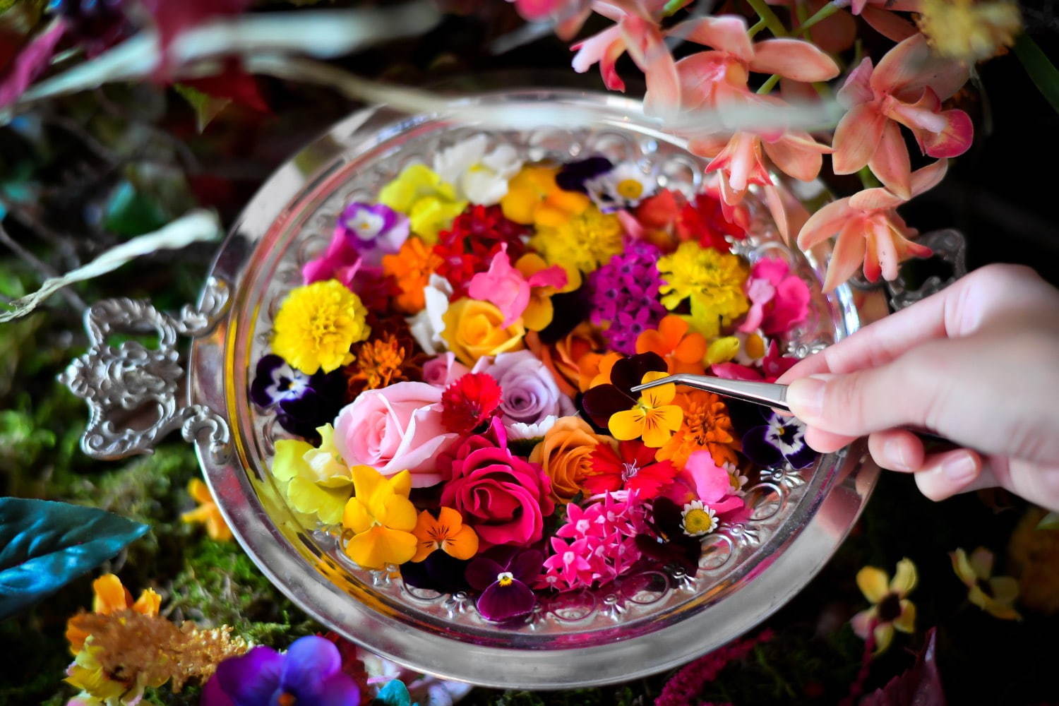 食べられる花 体験型アートイベント おいしい花畑 池袋にて 花 ハーブで彩るオリジナルドリンク ファッションプレス