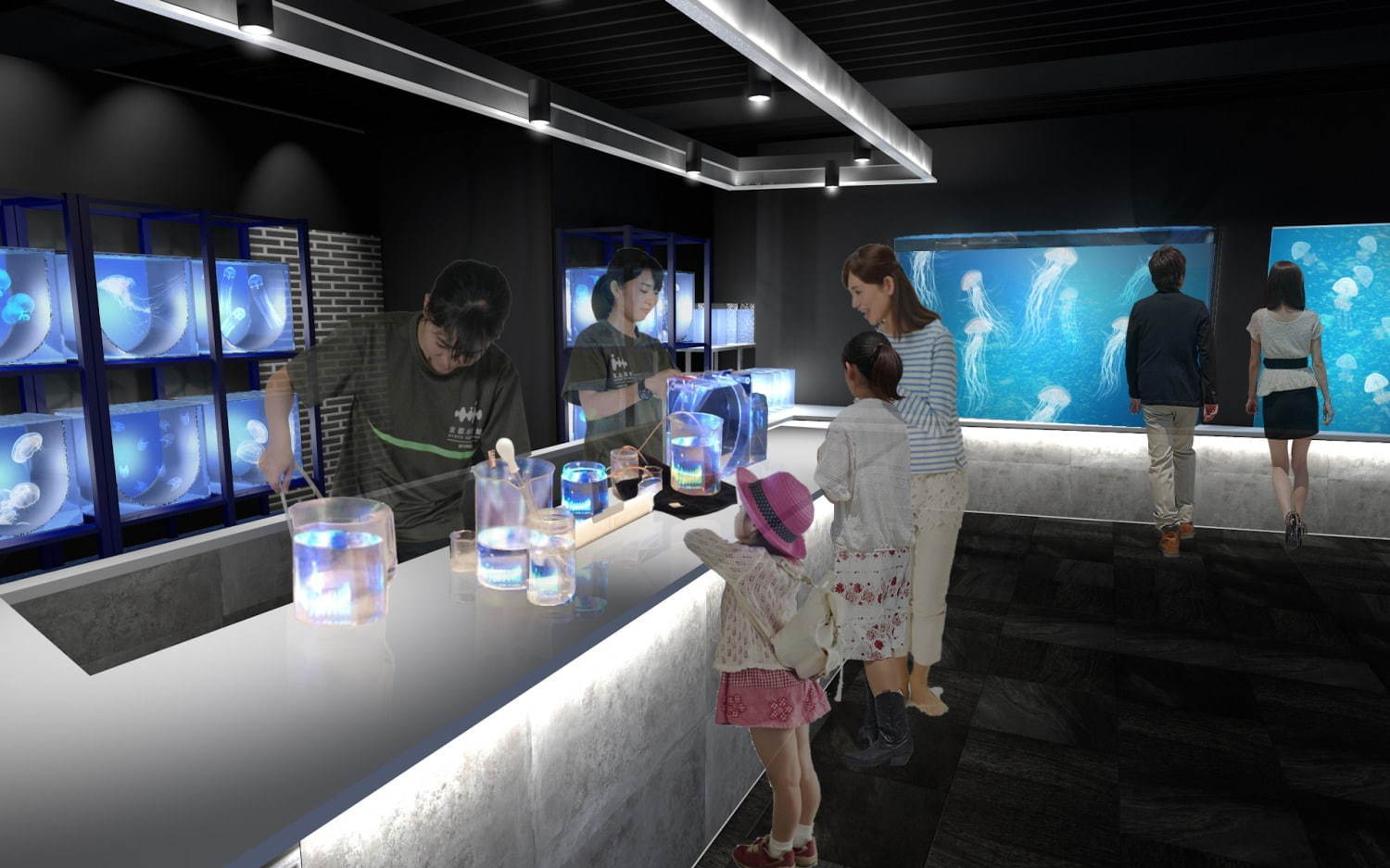 京都水族館初の大規模リニューアル 約種5 000匹の新クラゲ展示エリア クラゲワンダー 誕生 ファッションプレス