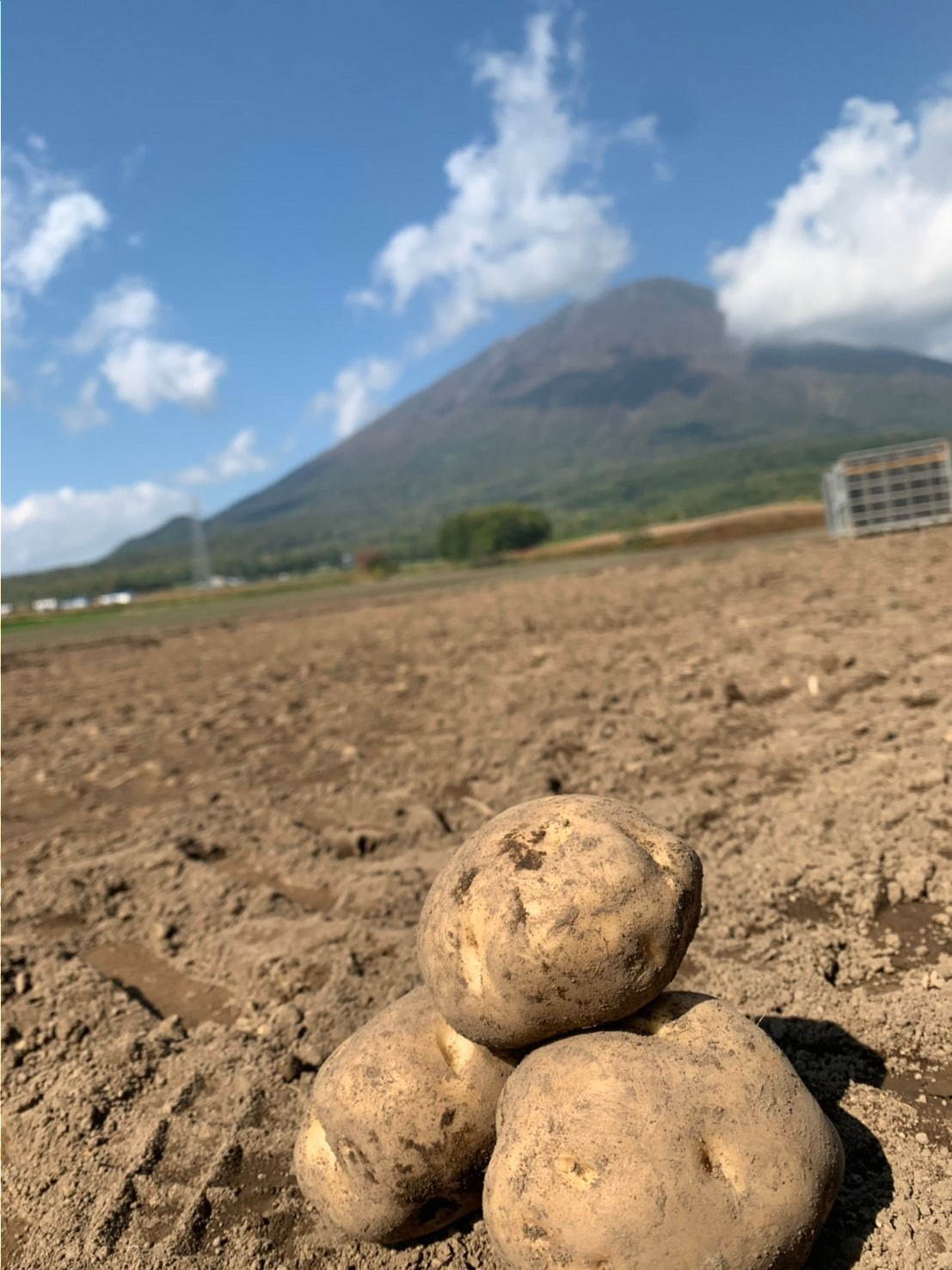 コロッケサンド専門店「ドサンド」東京・芝大門に、“サクホク”揚げたてコロッケ×厚切り北海道小麦パン｜写真6