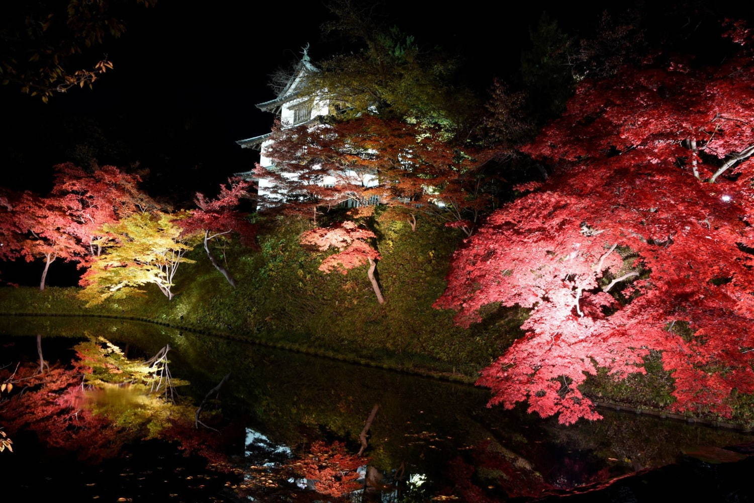 弘前城 菊と紅葉まつり 青森 弘前公園で 1 000本の楓 2600本の桜のライトアップも ファッションプレス