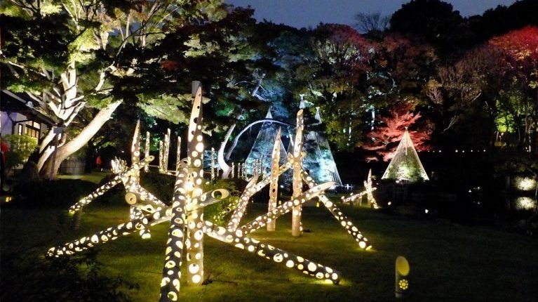 「秋の紅葉ライトアップ」東京・肥後細川庭園で、色づく紅葉と光が織りなす幻想空間｜写真3