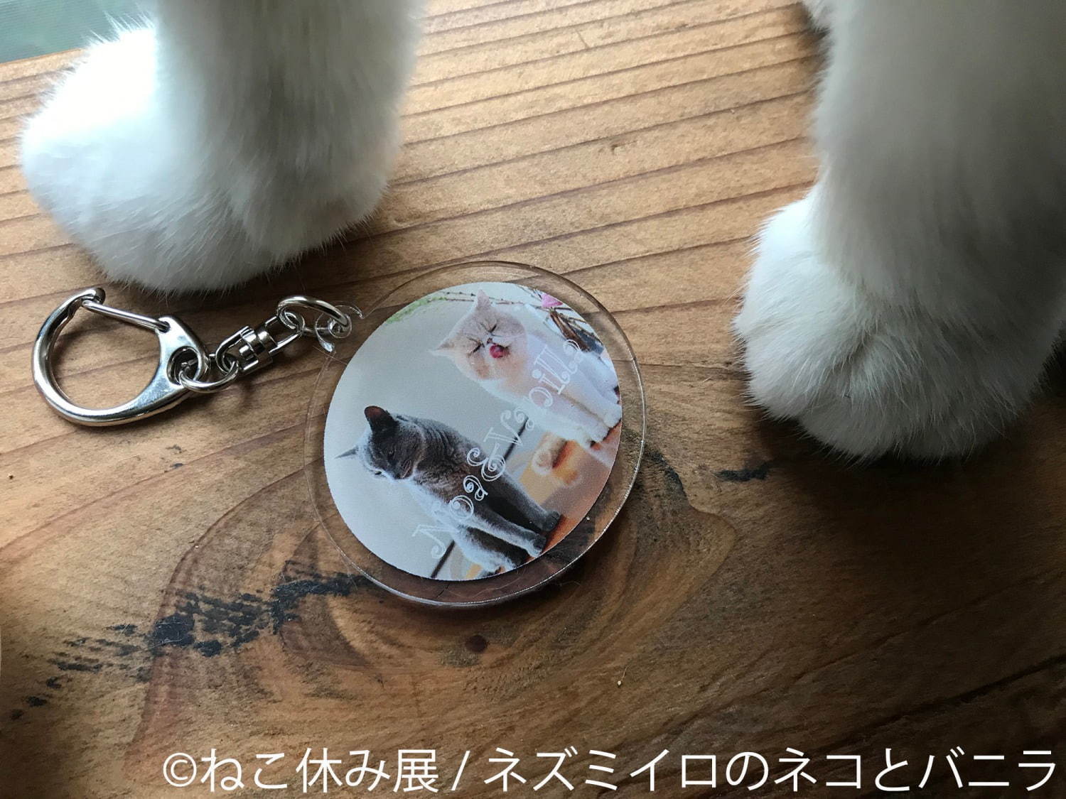 「ねこ休み展 in 船橋」猫の彫刻やぬいぐるみなど作品展示400点以上、物販2,000点以上が集結｜写真51