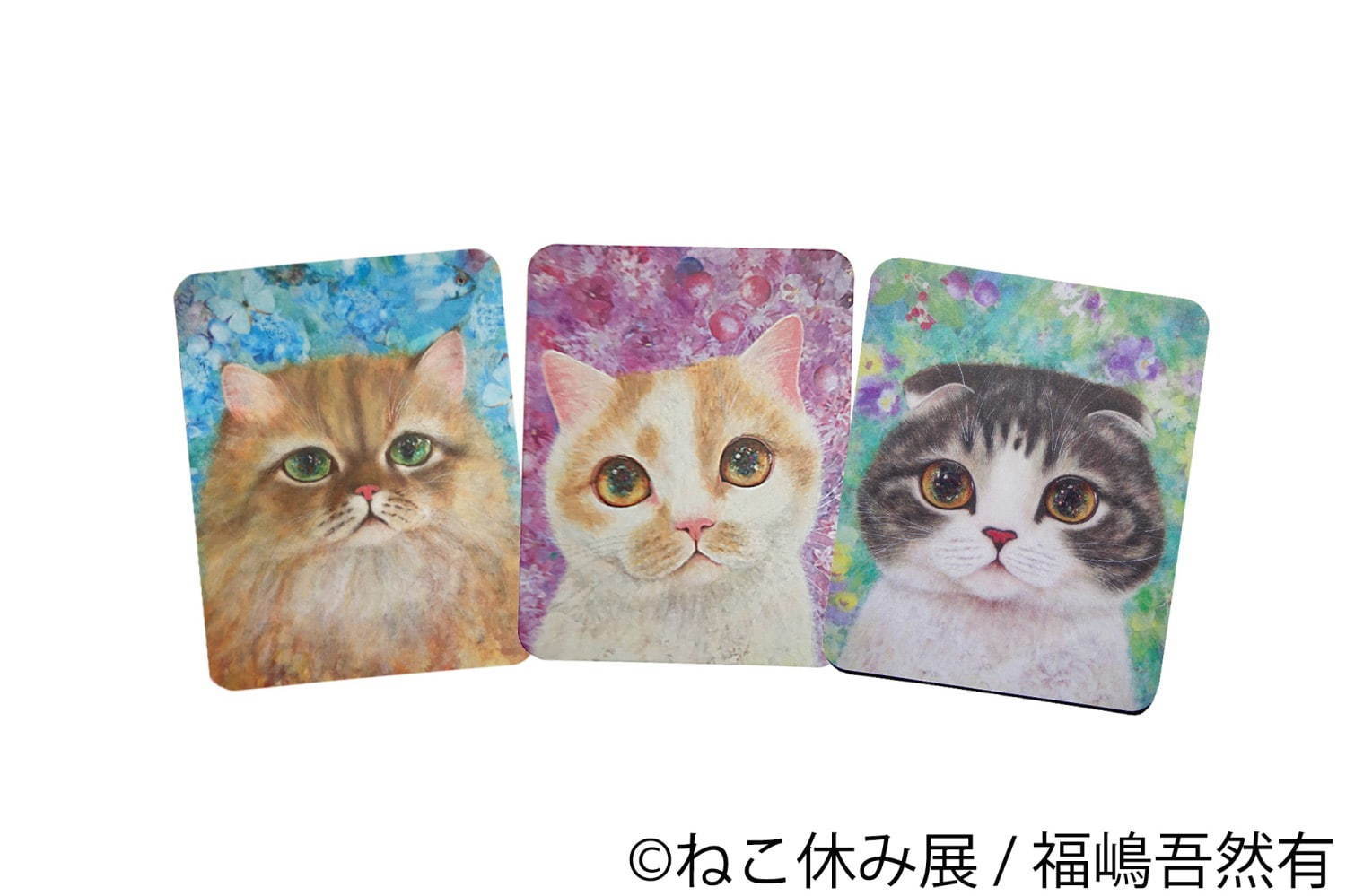 「ねこ休み展 in 横浜みなとみらい」冬らしい“癒し”のねこ写真展示＆限定グッズも｜写真103