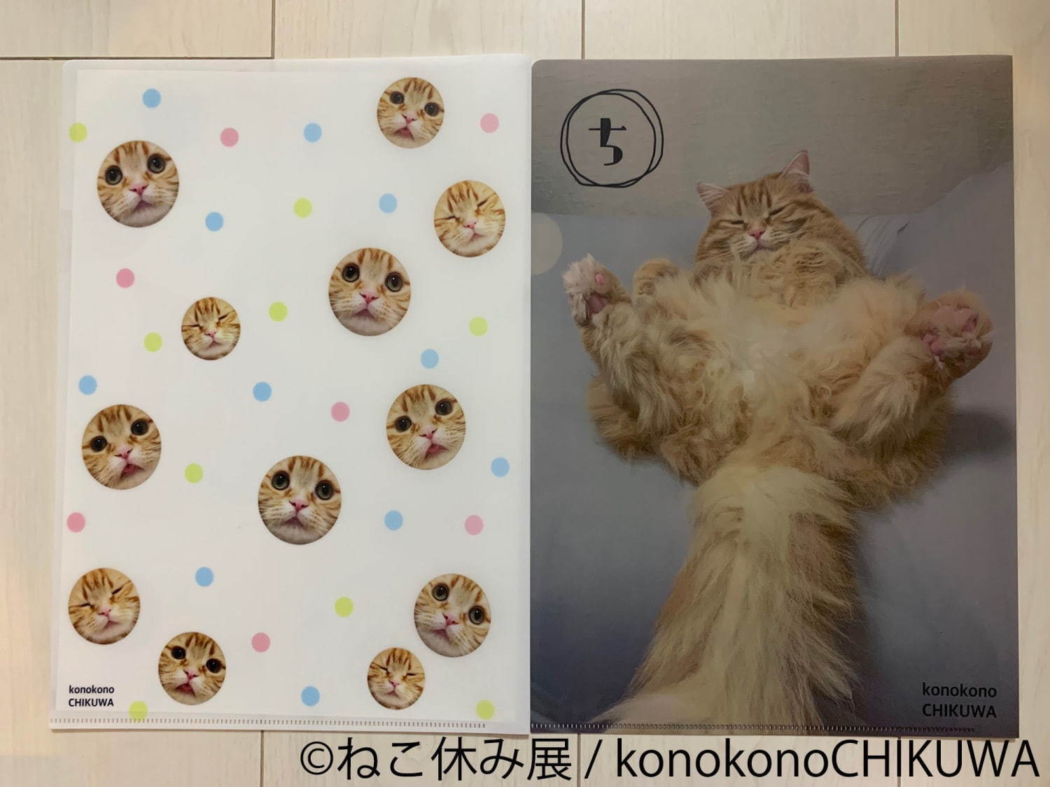 「ねこ休み展 in 横浜みなとみらい」冬らしい“癒し”のねこ写真展示＆限定グッズも｜写真21