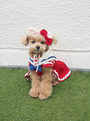 【豊富なSALE】シャーリーテンプル&ハローキティ コラボ ドッグウェア 犬服・アクセサリー