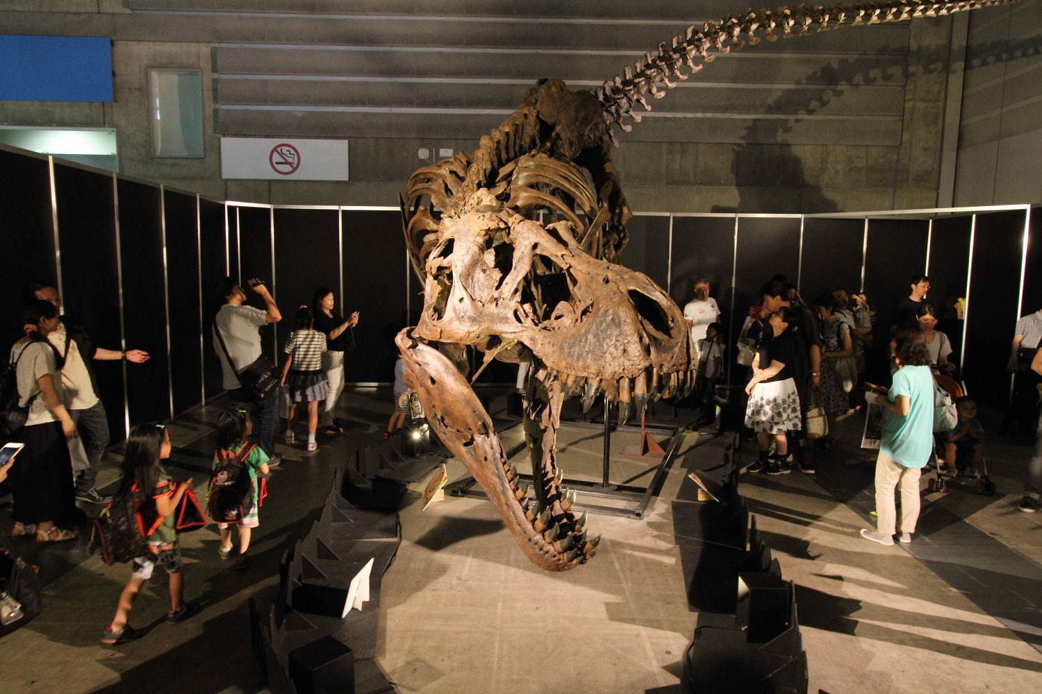 開催中止 ヨコハマ恐竜展 パシフィコ横浜で開催 五大陸の恐竜化石や全身骨格など展示 ファッションプレス