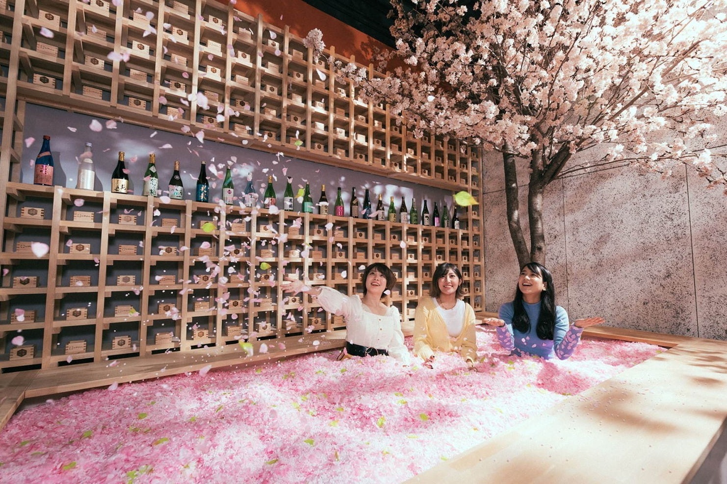 サクラチルバー 南青山で 佐賀の日本酒 苺と楽しむ インドア花見 桜の花びらプールも ファッションプレス