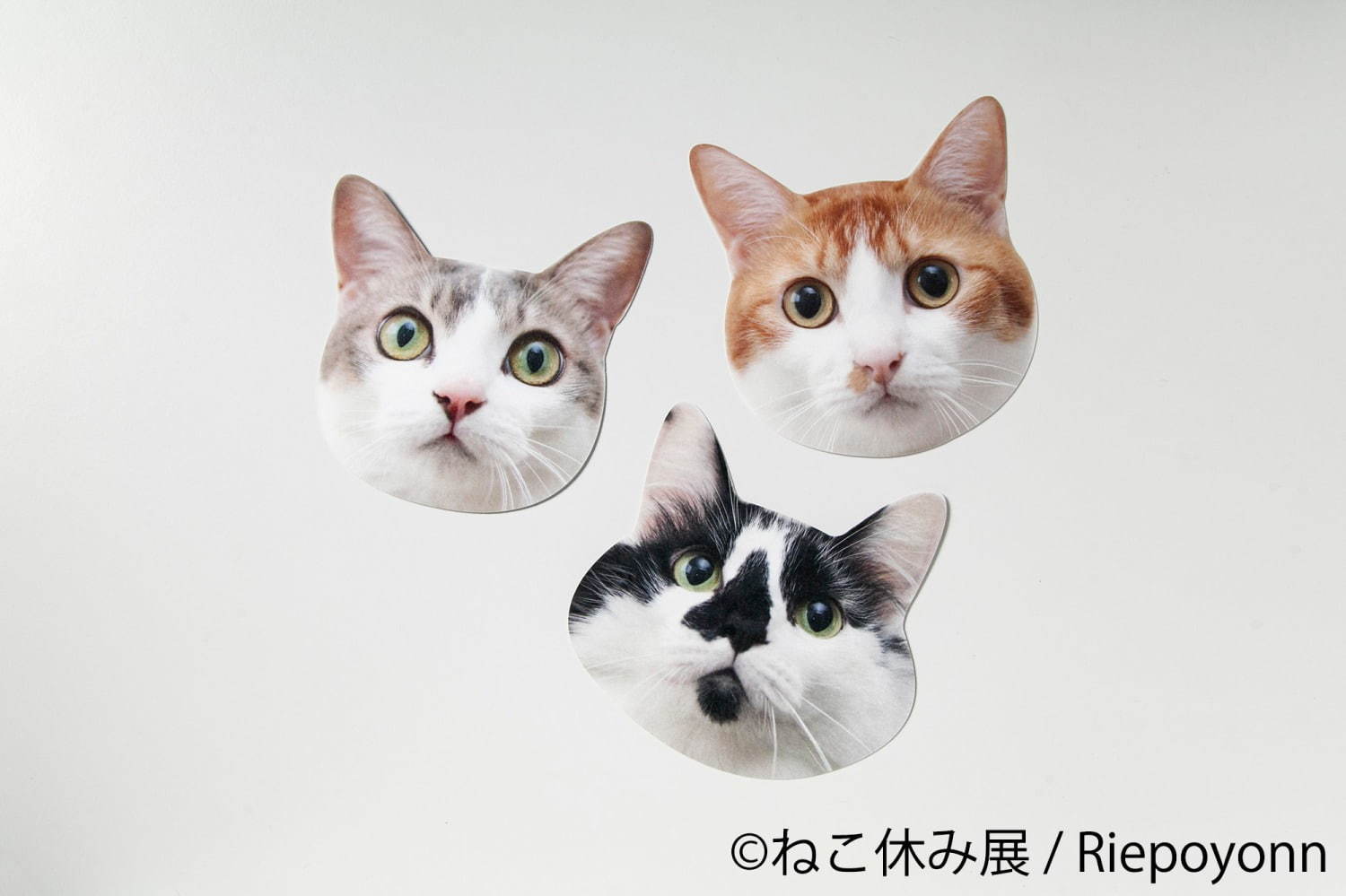 「ねこ休み展 春 2020」名古屋で、春＆イースターの新作写真展示や会場限定猫グッズなど｜写真41