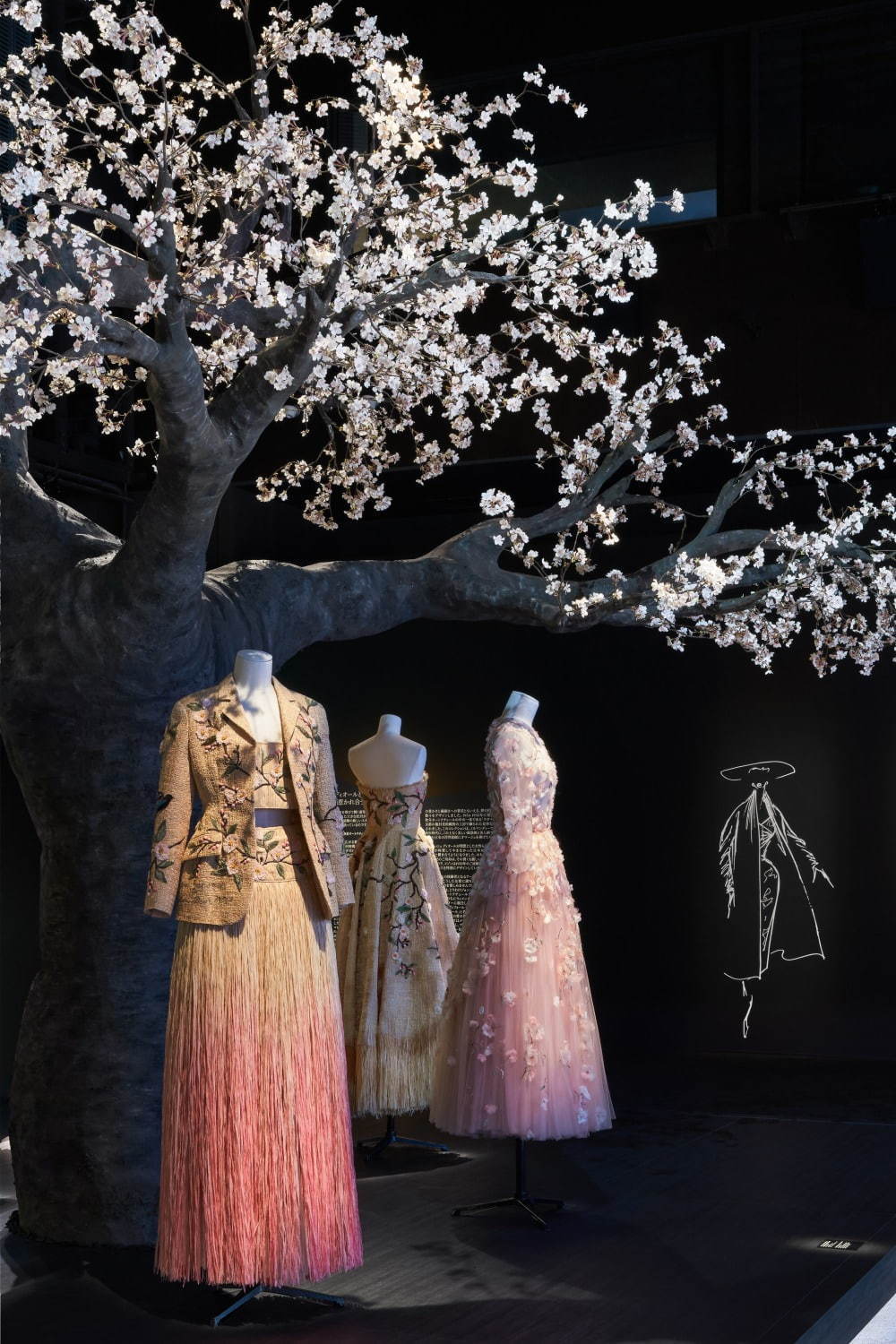 ディオール(DIOR) ディオール、パリから日本へ｜写真29