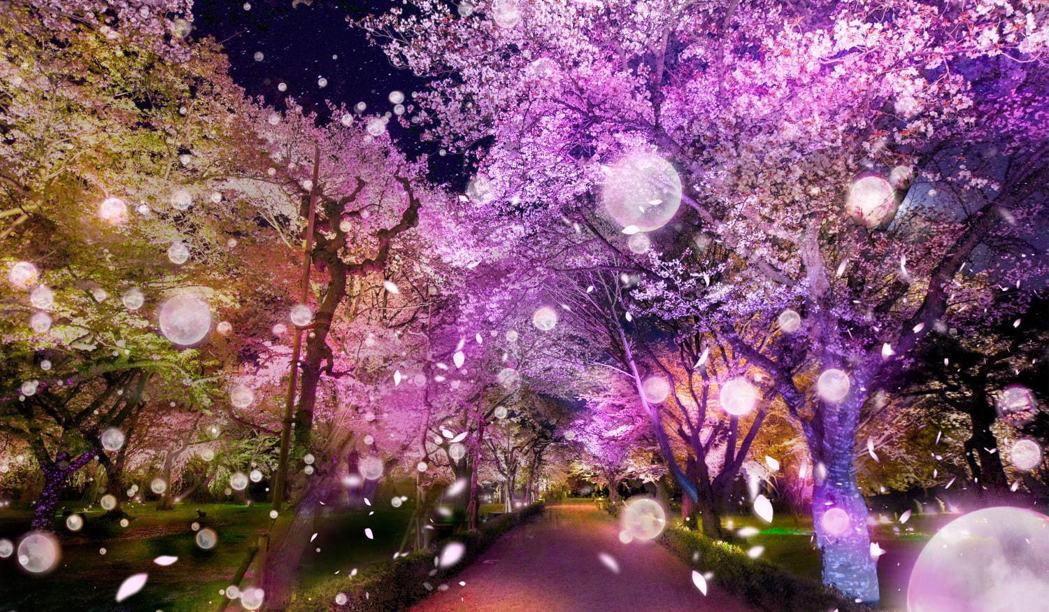 花の体感型アート展 フラワーズバイネイキッド 京都 二条城で 夜桜や重要文化財とコラボ ファッションプレス