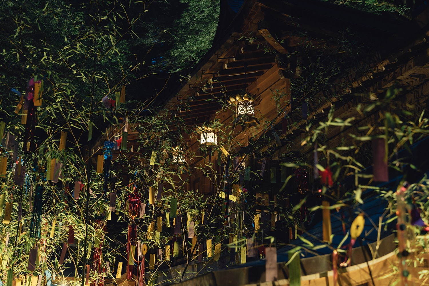 京都・貴船神社の「七夕笹飾り」色とりどりの短冊が境内に＆夜間はライトアップも｜写真4