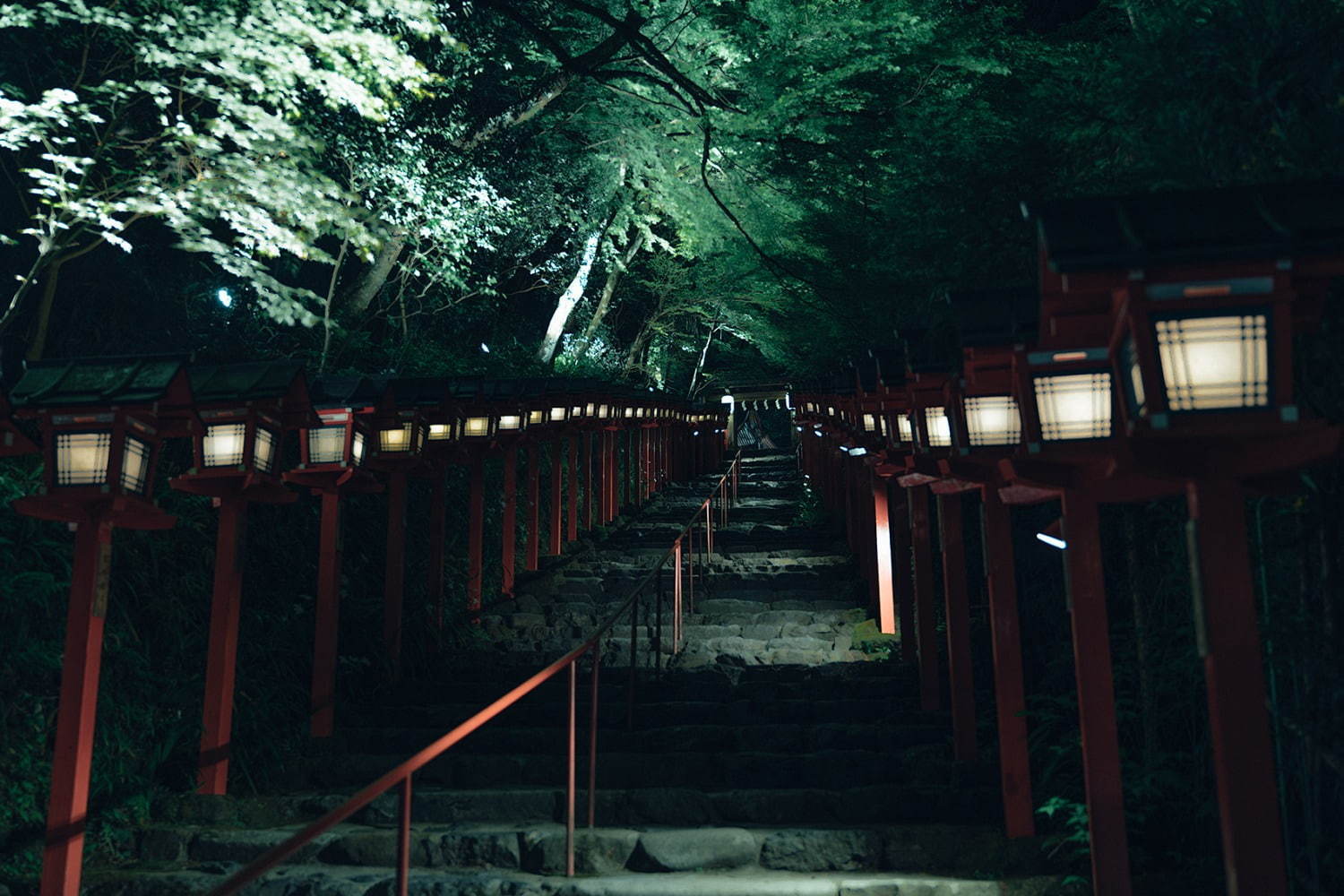 京都・貴船神社の「七夕笹飾り」色とりどりの短冊が境内に＆夜間はライトアップも｜写真6