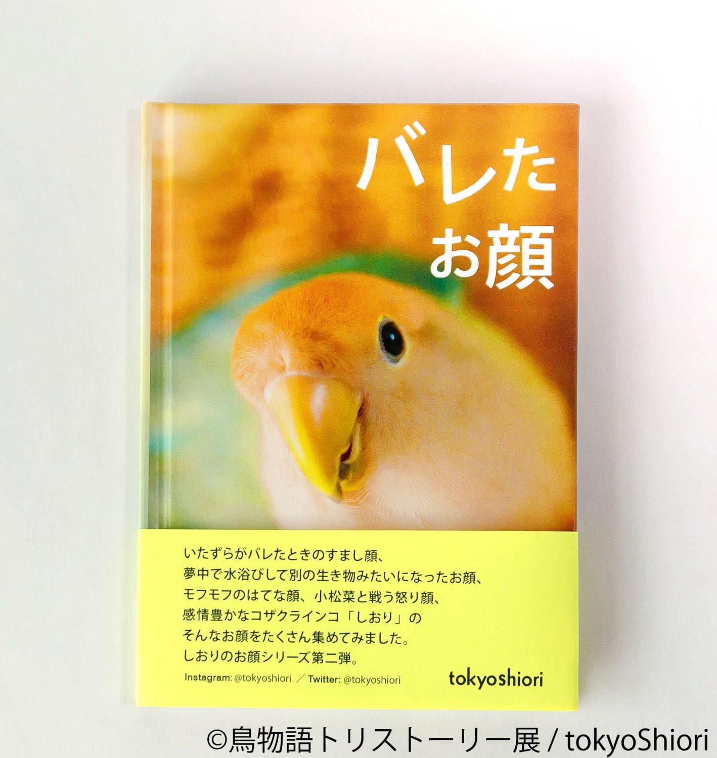 写真23 31 鳥物語トリストーリー展 静岡で 世界一小さいあひる など鳥の写真 ハンドメイドグッズが集結 ファッションプレス