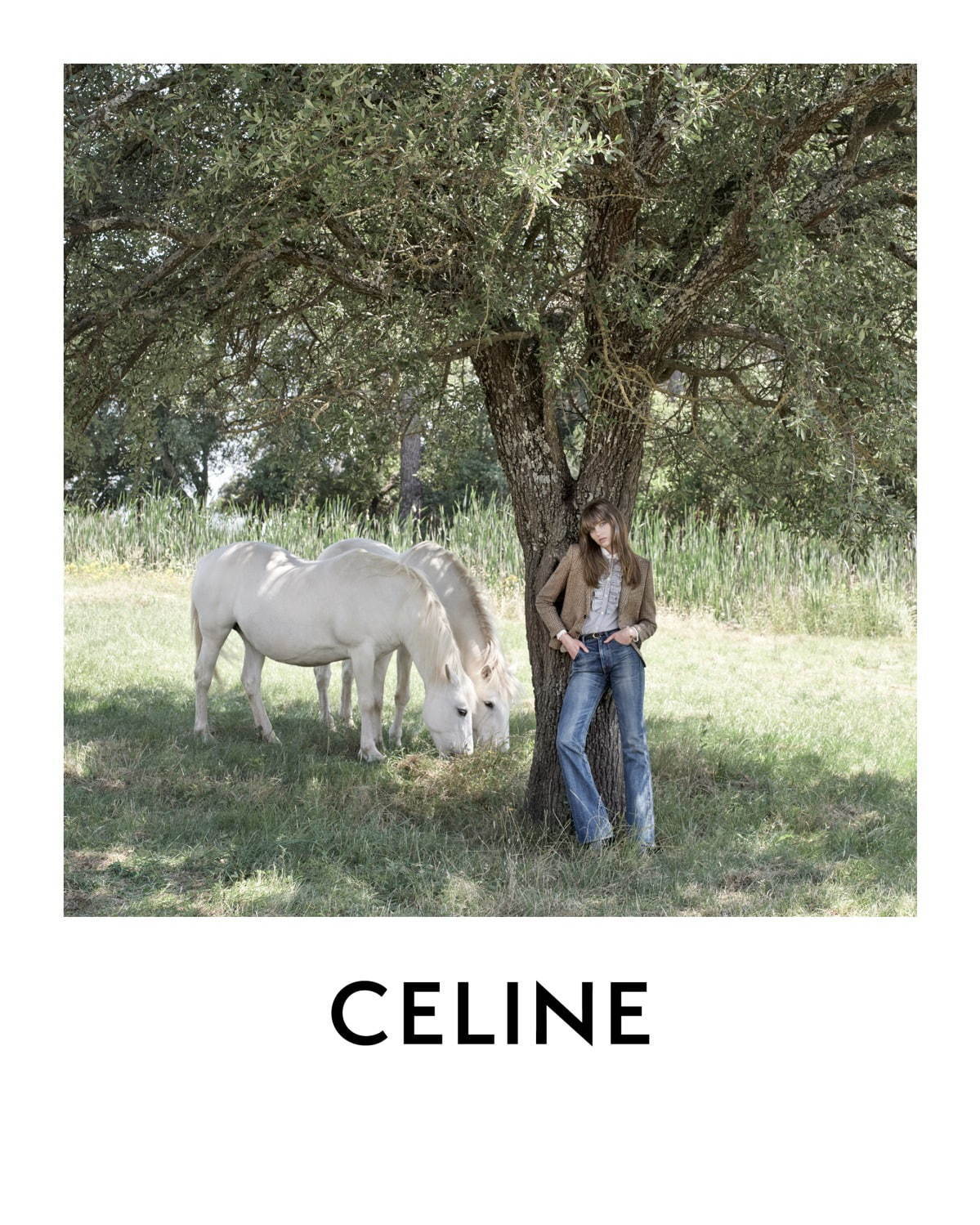 セリーヌ(CELINE) 16｜写真16