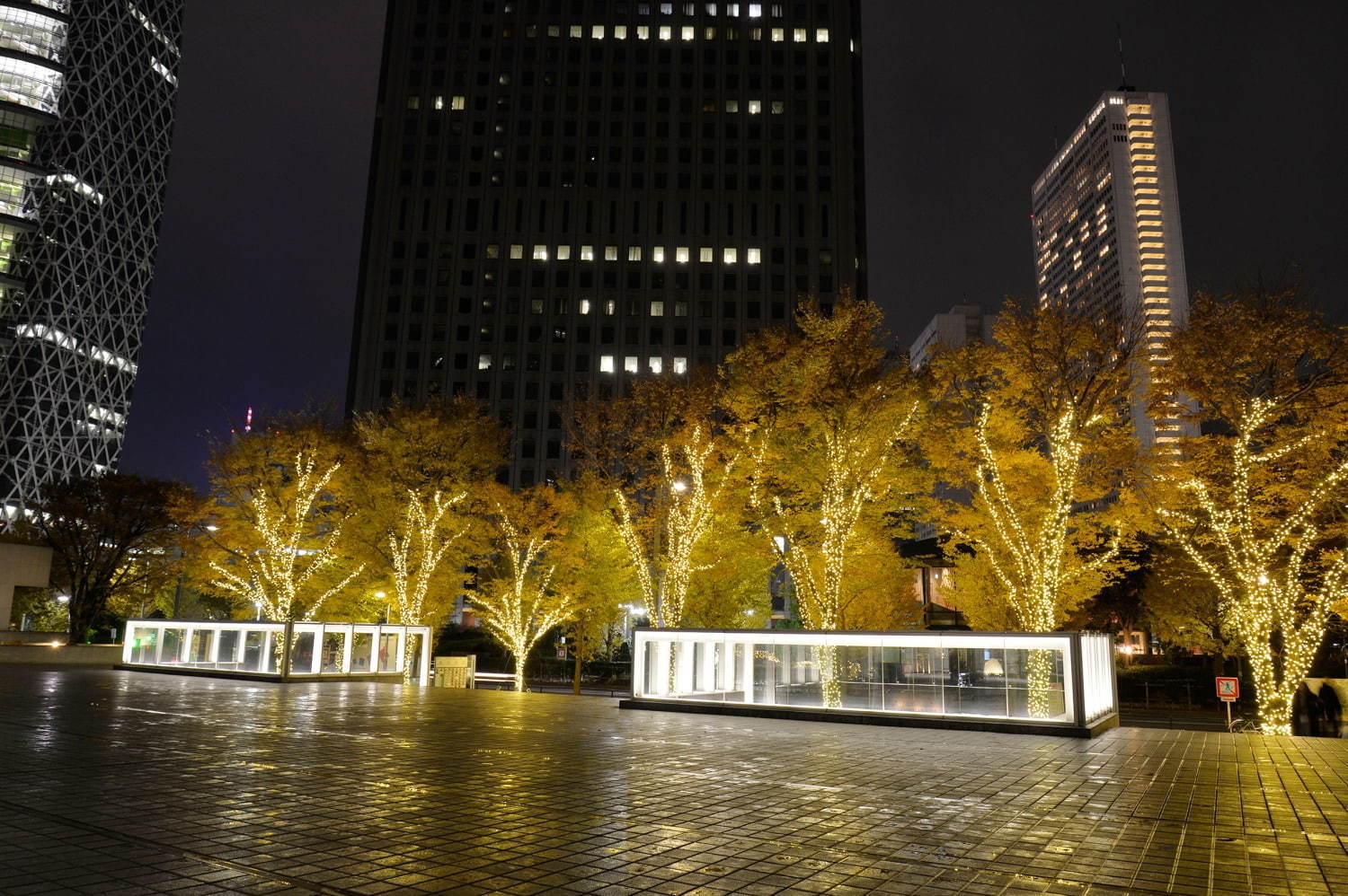 西新宿のクリスマスイルミネーション、新宿野村ビルやヒルトン東京など10か所で点灯｜写真4