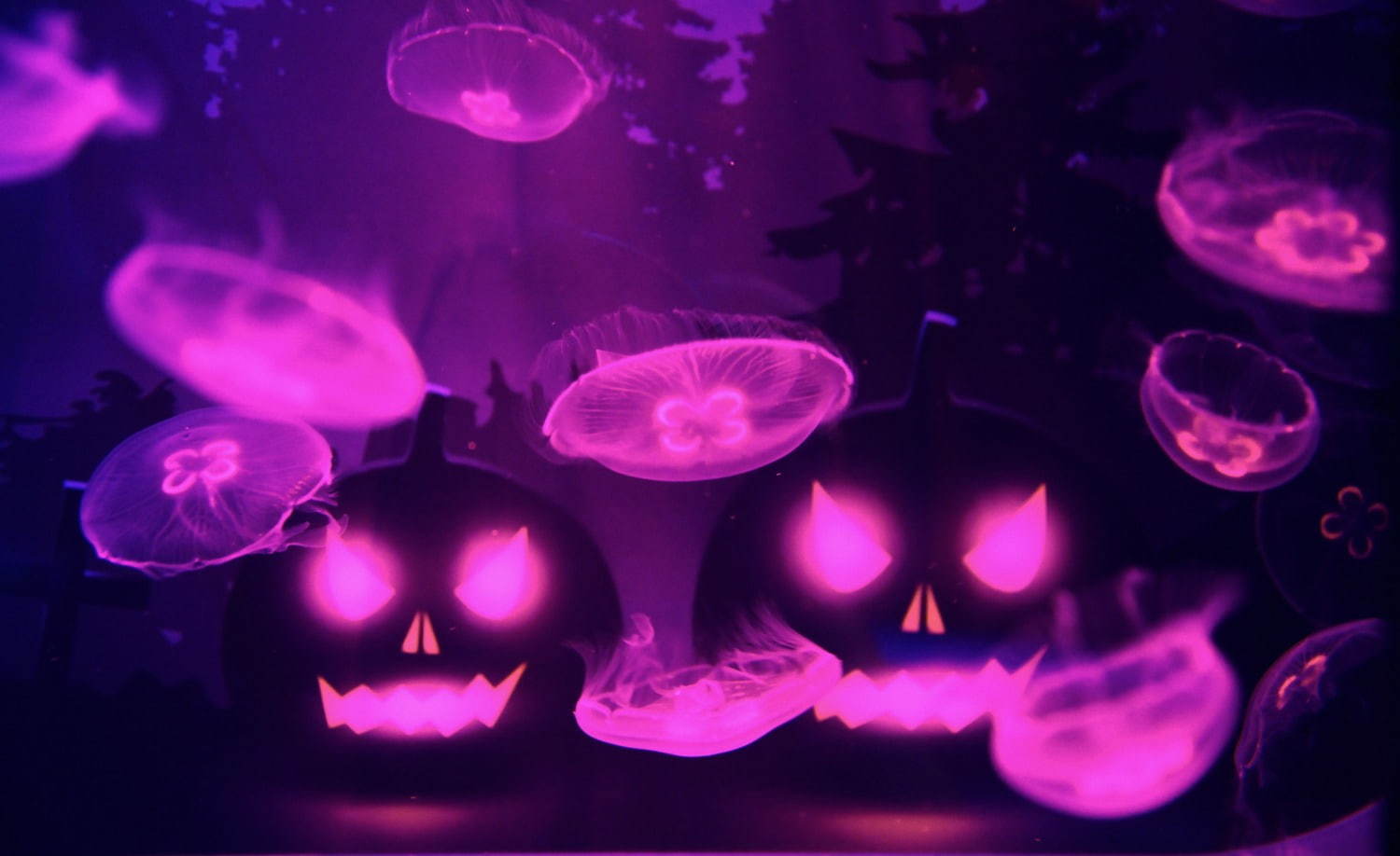 「ハロウィン in すみだ水族館」クラゲがオバケに？ハロウィン仕様のクラゲ展示、注射器付きソフトも｜写真3