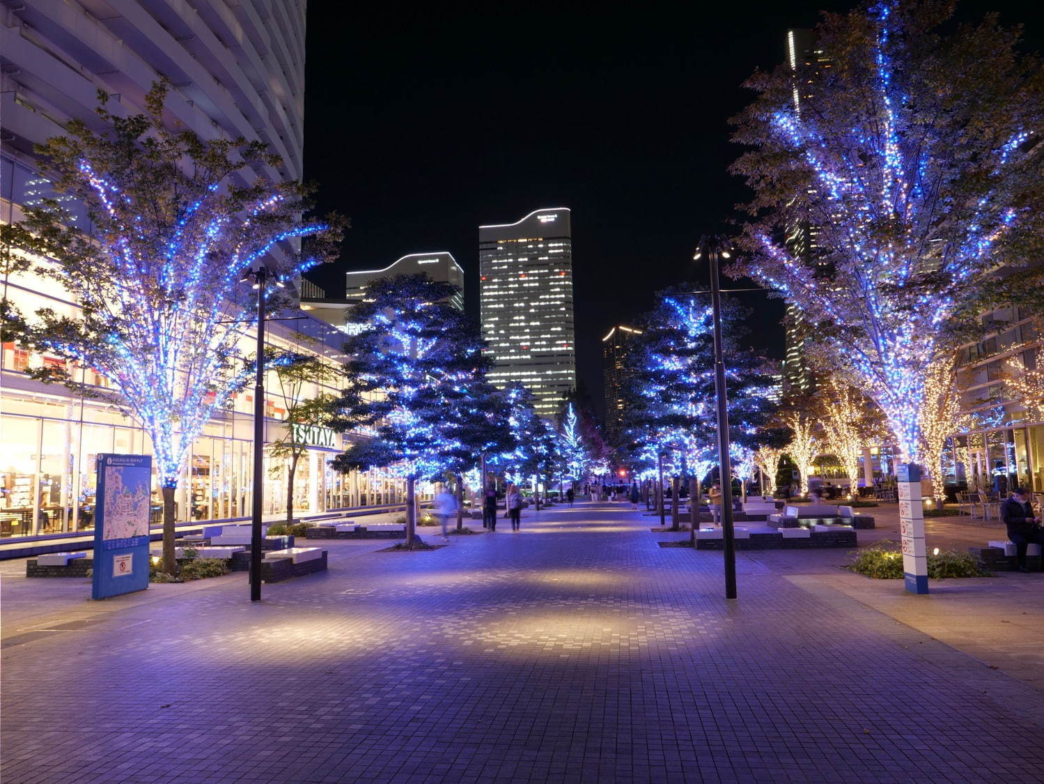 横浜・みなとみらいのイルミネーション「ヨコハマミライト 2020」横浜駅東口〜さくら通りに約50万球｜写真9