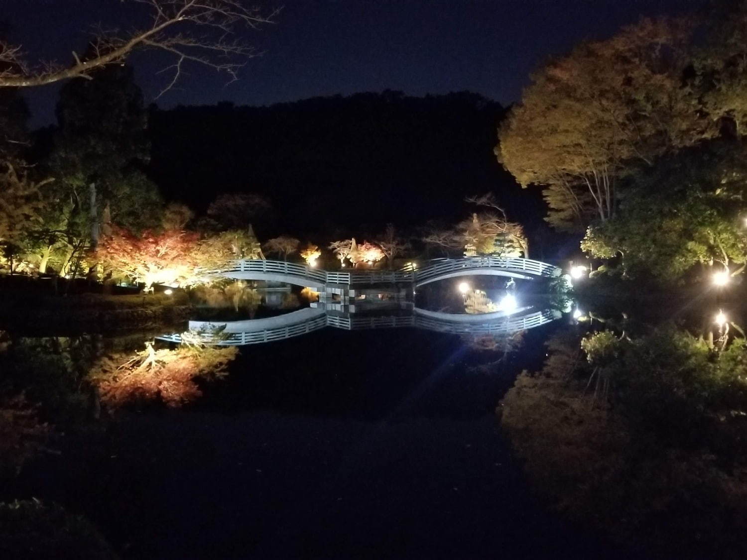 町田薬師池公園四季彩の杜で 紅葉まつり 自然豊かな敷地内で紅葉鑑賞 夜間はライトアップも ファッションプレス