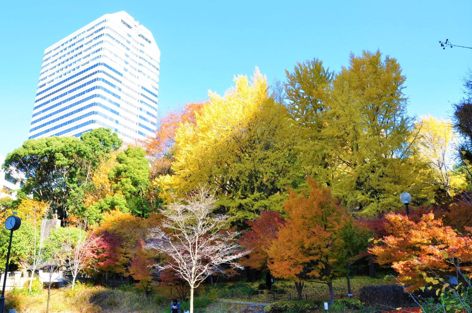 東京都内 千代田区の紅葉おすすめの名所6選 日比谷公園や靖国神社が秋の彩りに ファッションプレス