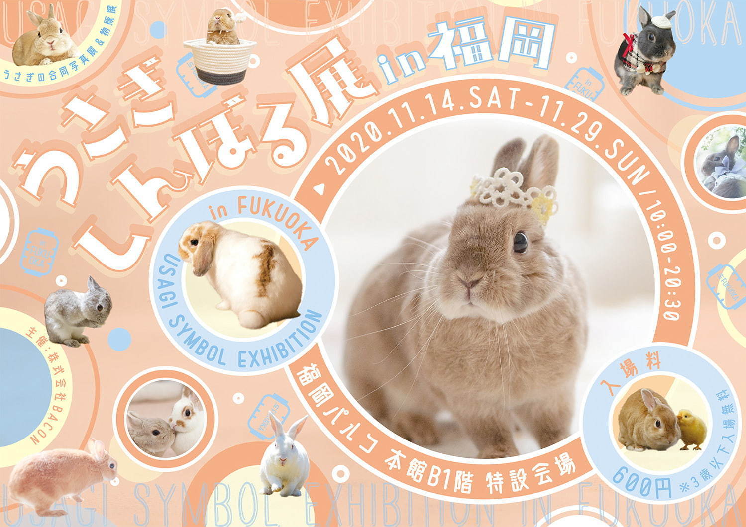 うさぎの合同写真＆物販展「うさぎしんぼる展」福岡初上陸、うさぎグッズなど福岡パルコで販売｜写真30