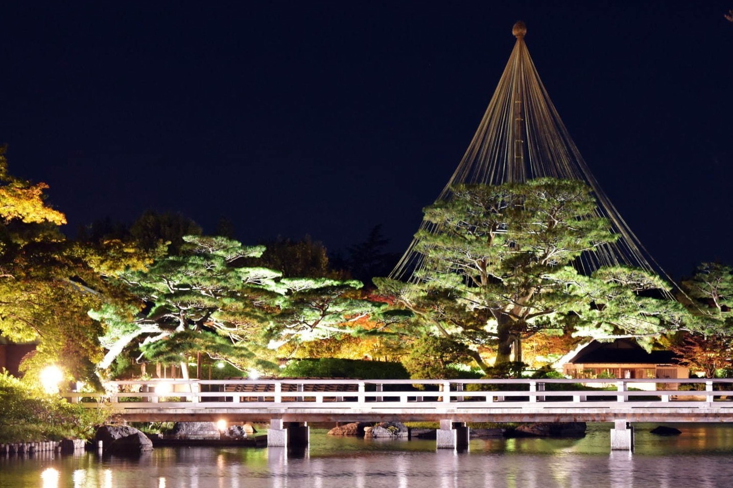 秋の紅葉ライトアップ が東京 国営昭和記念公園で イチョウ並木 日本庭園に美しい光の演出 ファッションプレス