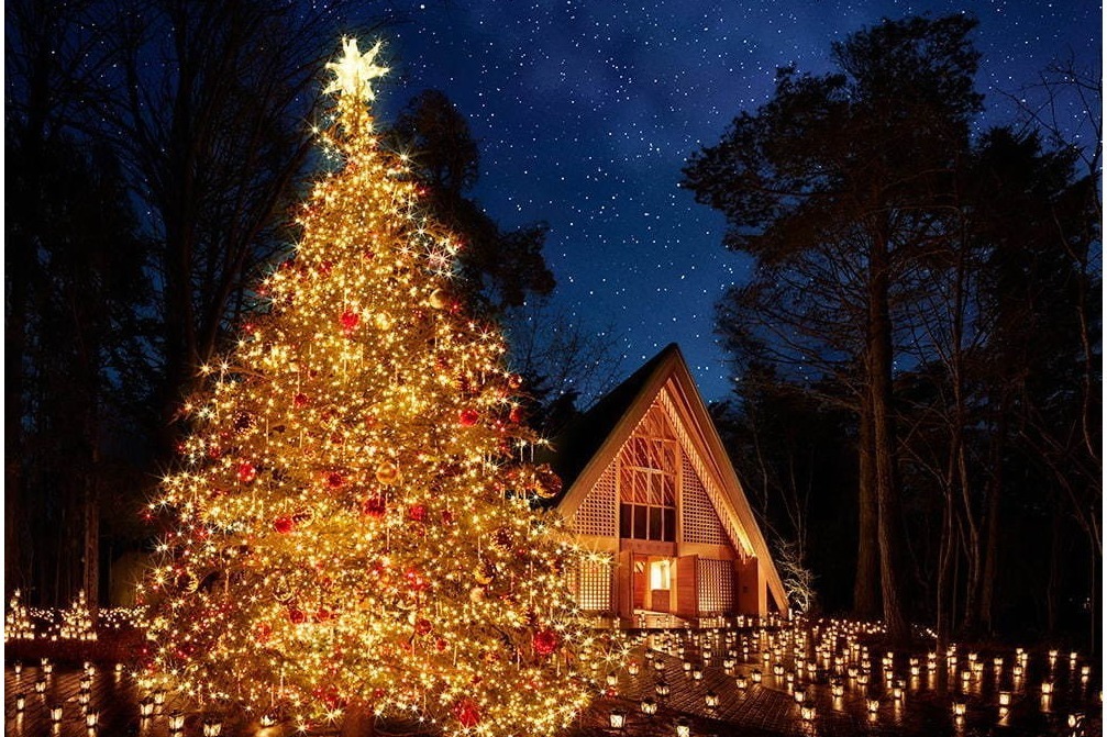 軽井沢高原教会 星降る森のクリスマス 星や星空 イメージの幻想的なライトアップ ファッションプレス
