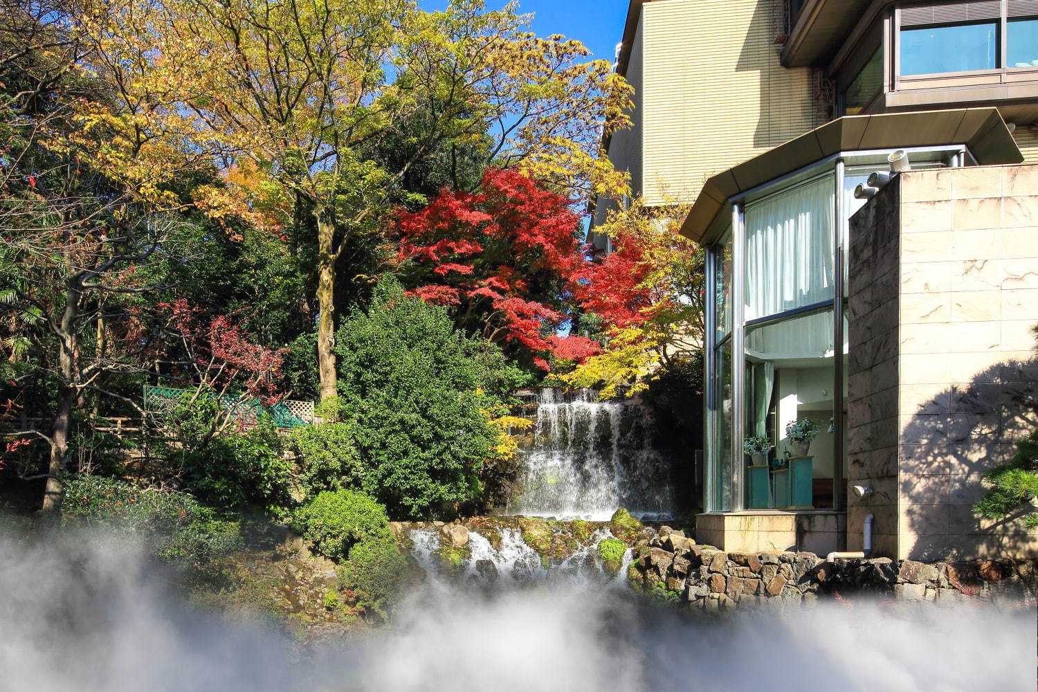 ホテル椿山荘東京“紅葉＆雲海”秋のライトアップ、ロマンティックに色づくモミジやケヤキなど｜写真5