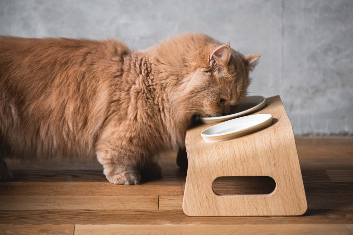 猫用木製家具ブランド カリモクキャット 猫が心地よく食事できる キャットテーブル新登場 ファッションプレス