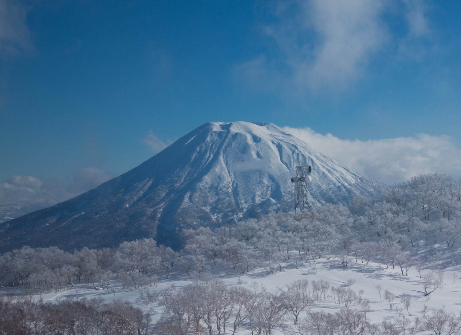 リッツ・カールトンの最上級ホテルブランド「リッツ・カールトン・リザーブ」北海道・ニセコに誕生｜写真13