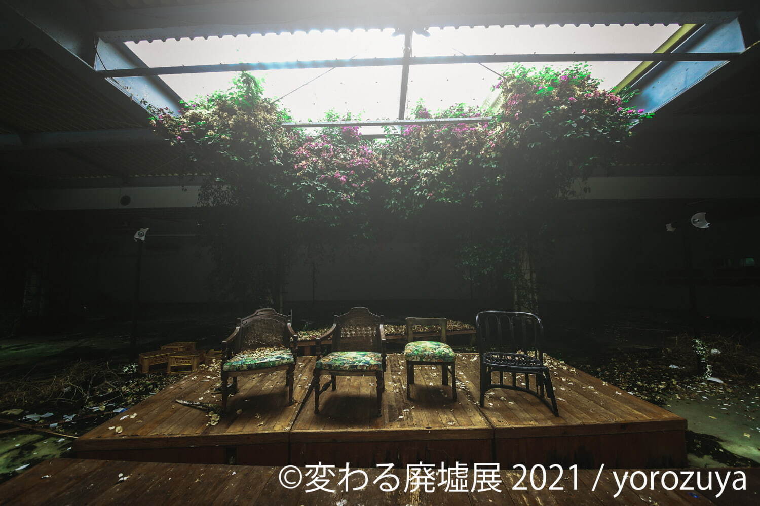 “美しい廃墟”の写真展「変わる廃墟展 2021」東京＆名古屋で、動画作品や限定グッズも｜写真9