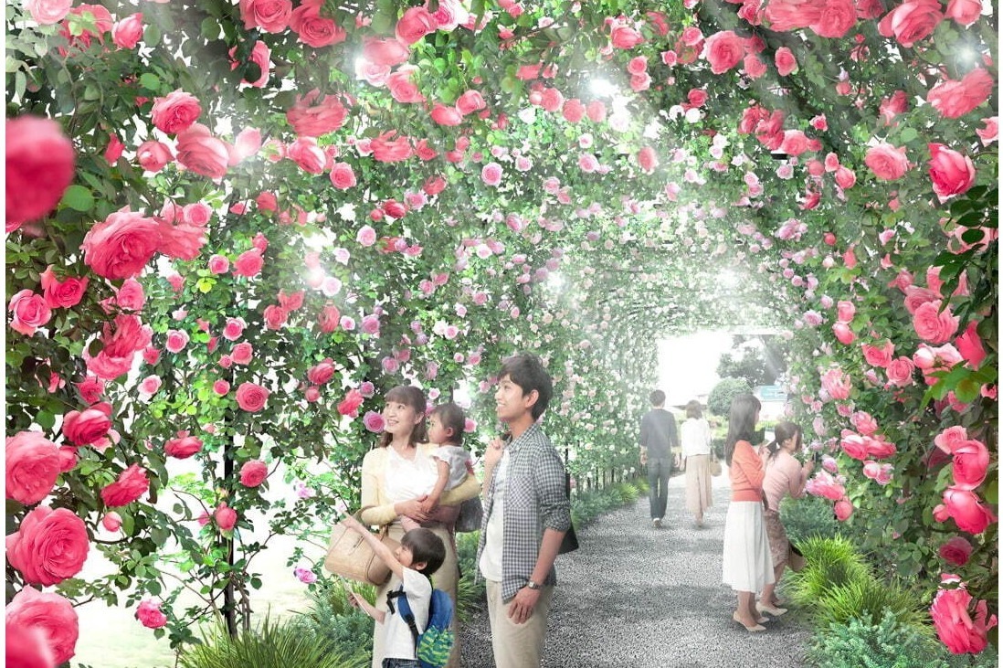 いばらきフラワーパーク 国内屈指ローズガーデン 360度薔薇に囲まれるトンネル アクティビティも ファッションプレス