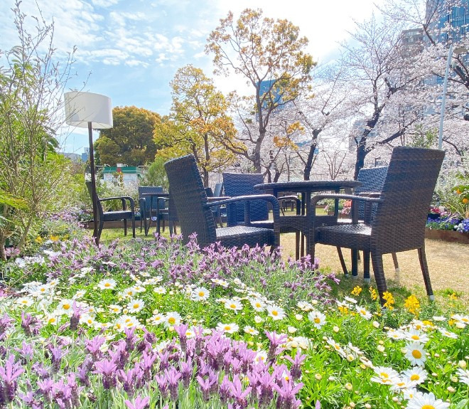 東京ミッドタウンの限定屋外ラウンジで“花咲く”春スイーツ、桜ストロベリーモンブランなど｜写真4