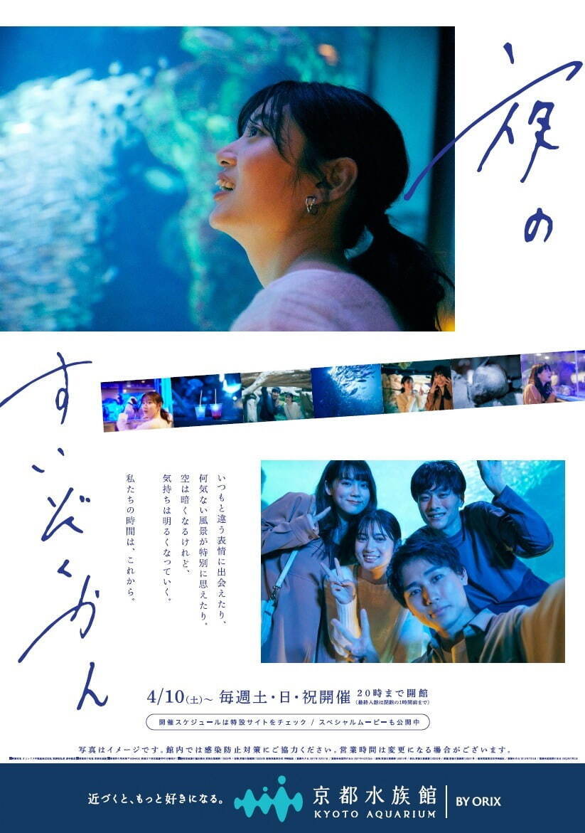 京都水族館「夜のすいぞくかん」幻想的な照明で空間演出、夜ならではのいきものたちの姿も｜写真1