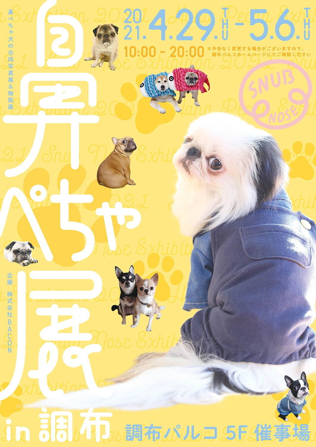 “鼻ぺちゃ犬”の合同写真展＆物販展が調布パルコで、“ぶひ可愛い”犬作品やグッズ集結｜写真18