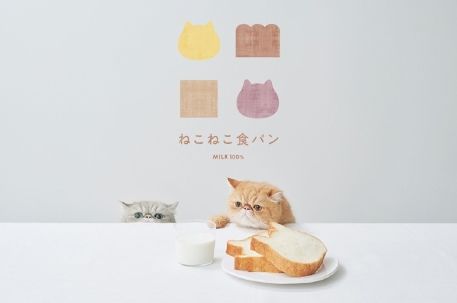 ねこねこ食パン×フリークスストアコラボ“カモ柄”のネコ型食パン、抹茶＆餡の和フレーバー｜写真3