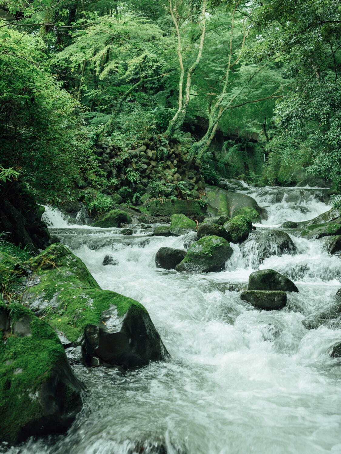 “温泉と食と本”のリトリート施設「湯河原惣湯 Books and Retreat」神奈川・万葉公園に｜写真3