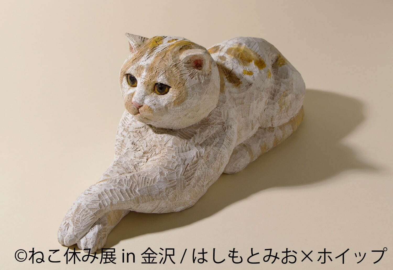 猫の合同写真展＆物販展「ねこ休み展」金沢21世紀美術館で、人気“スター猫”作品や猫グッズなど大集結｜写真9