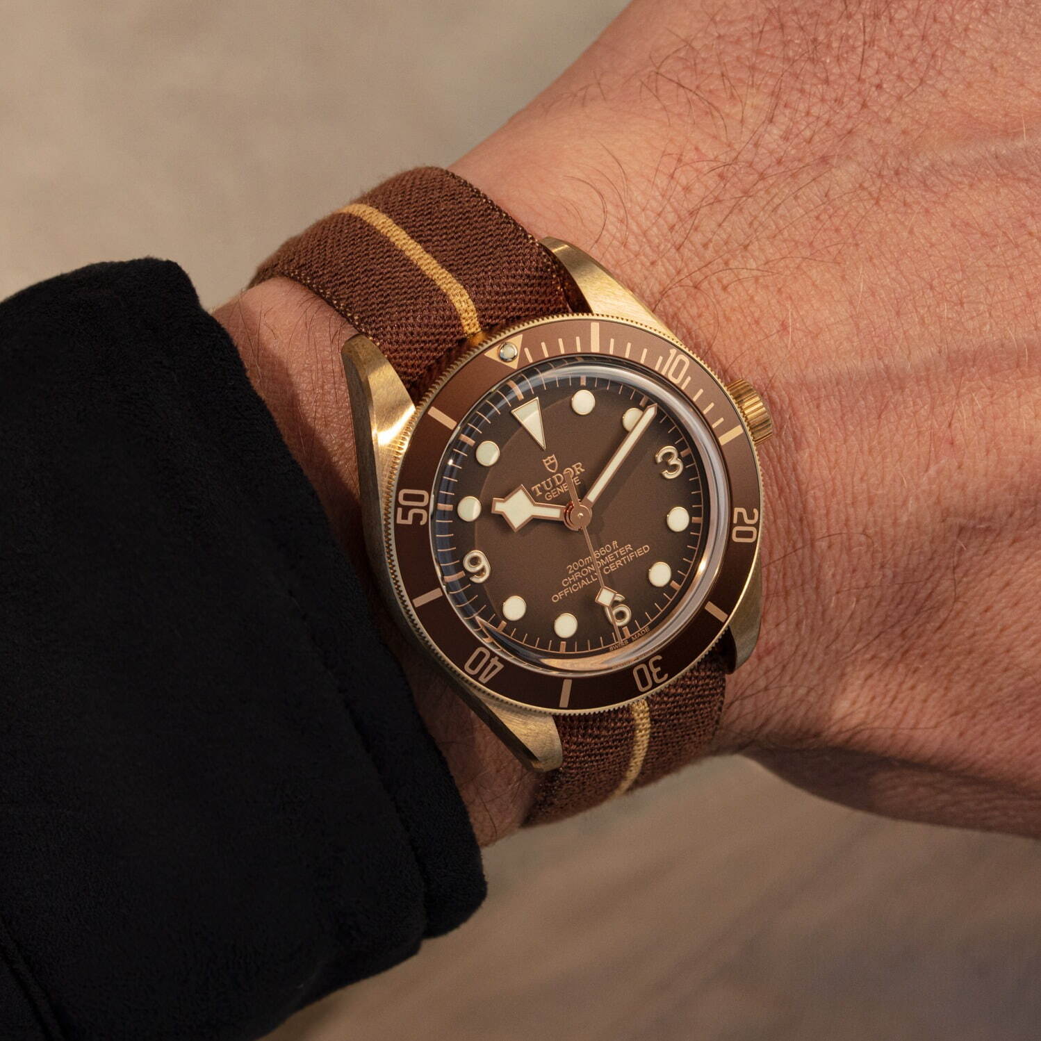 チューダー(TUDOR) ブラックベイ フィフティ-エイト ブロンズ ブティックエディション｜写真11