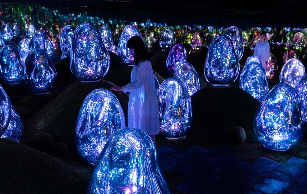 東京・豊洲「チームラボプラネッツ TOKYO DMM」13,000株のランの花に埋め尽くされる新作品｜写真23