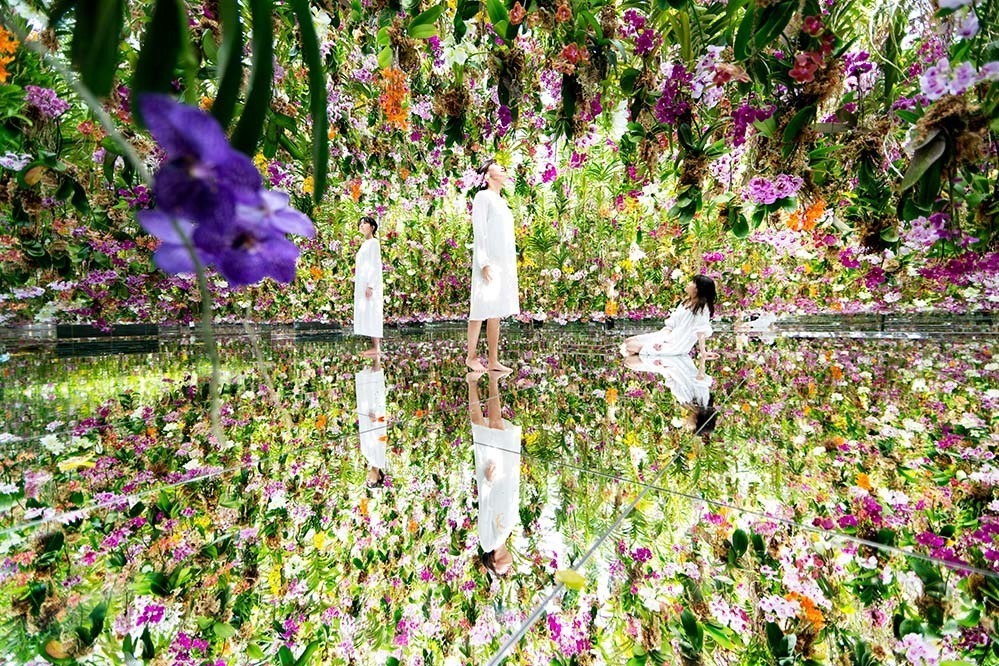 東京・豊洲「チームラボプラネッツ TOKYO DMM」13,000株のランの花に埋め尽くされる新作品｜写真17