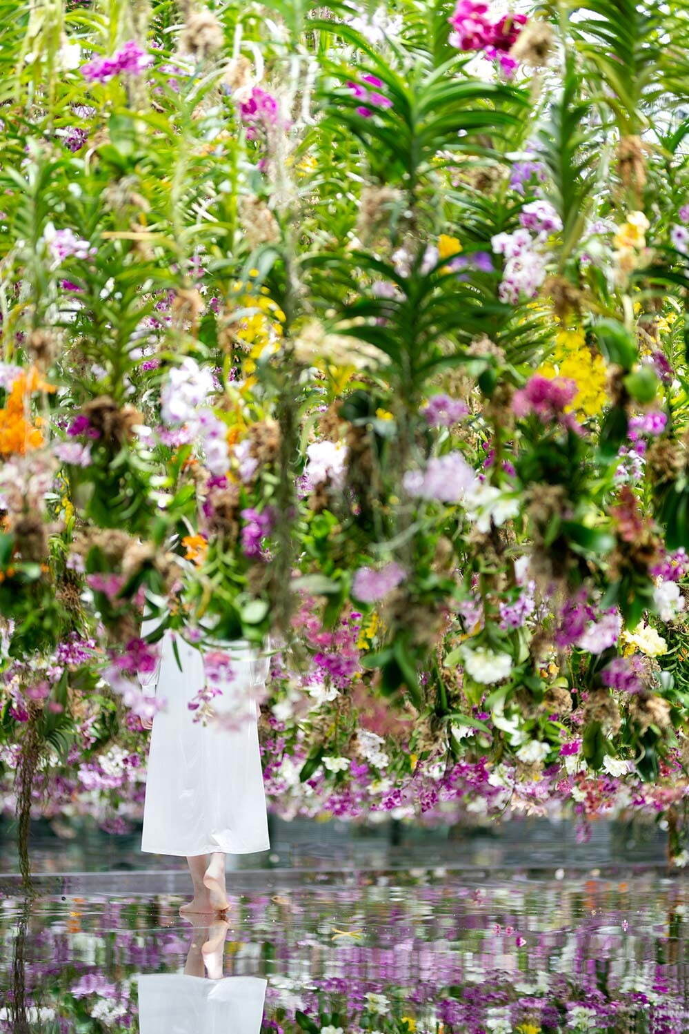 東京・豊洲「チームラボプラネッツ TOKYO DMM」13,000株のランの花に埋め尽くされる新作品｜写真4